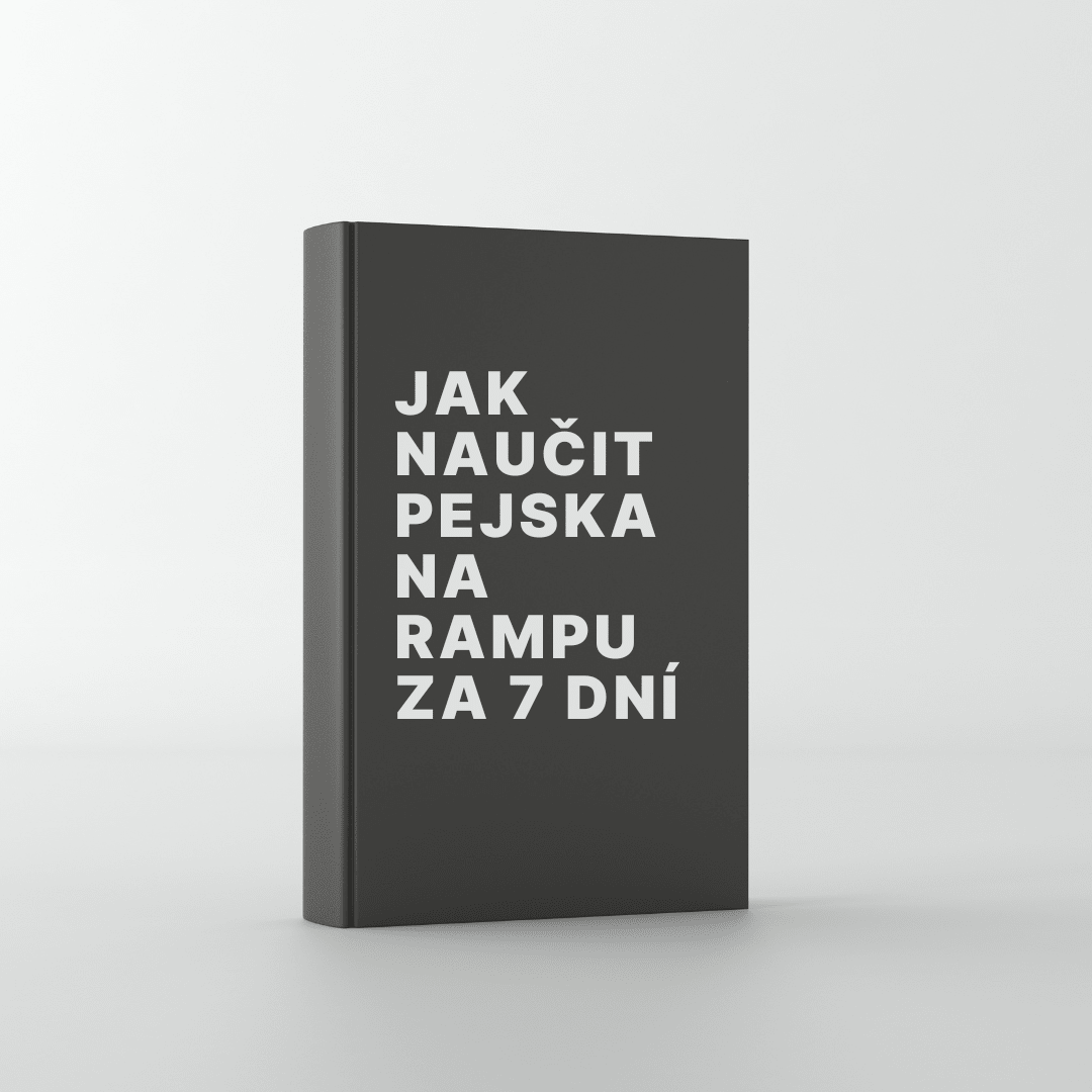 Jednoduchý PDF návod jak naučit pejska na rampu za 7 dní - Propsiky