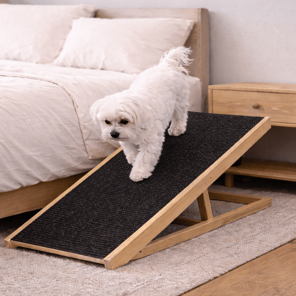 Kvalitní a pevná rampa pro pejsky - Propsiky